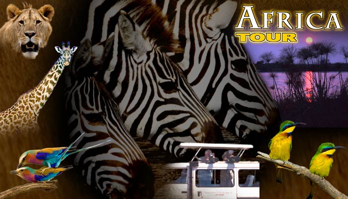 Africa Tour!