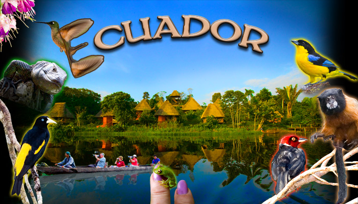 Ecuador!