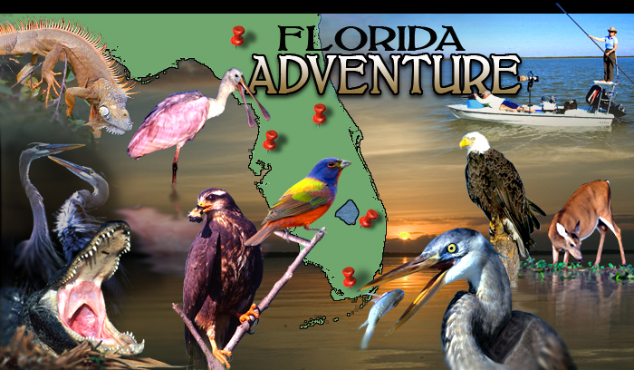 Florida!