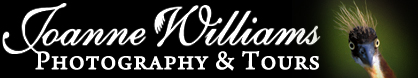 Welcome To Joanne Williams Photography.